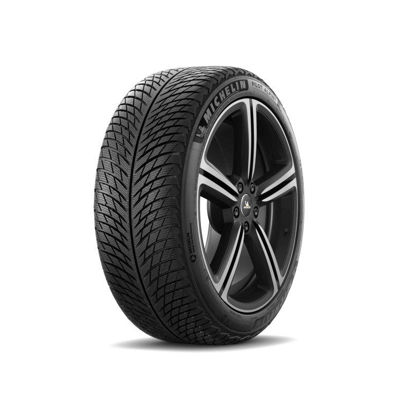 Michelin Pilot Alpin 5 305/30R21 104V XL