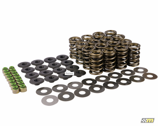 mountune Ford 2.3L EcoBoost Camshaft & Valve Spring Kit - V3