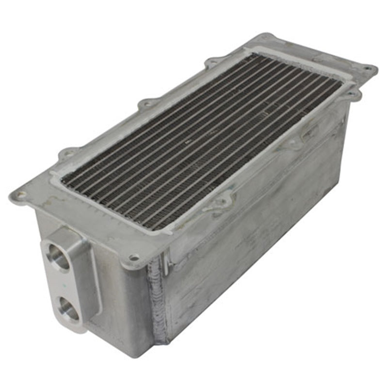 Ford Racing 5.4L 4V Performance Intercooler